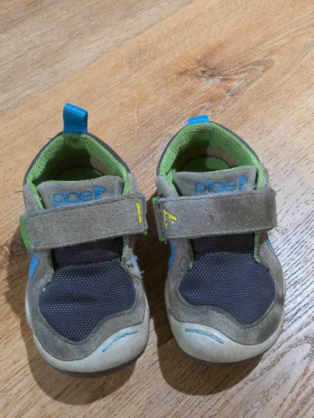 PLAE Kids Brown and Green Hook-and-Loop Sneakers